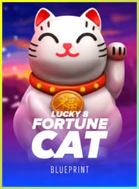 lucky fortune cat cover
